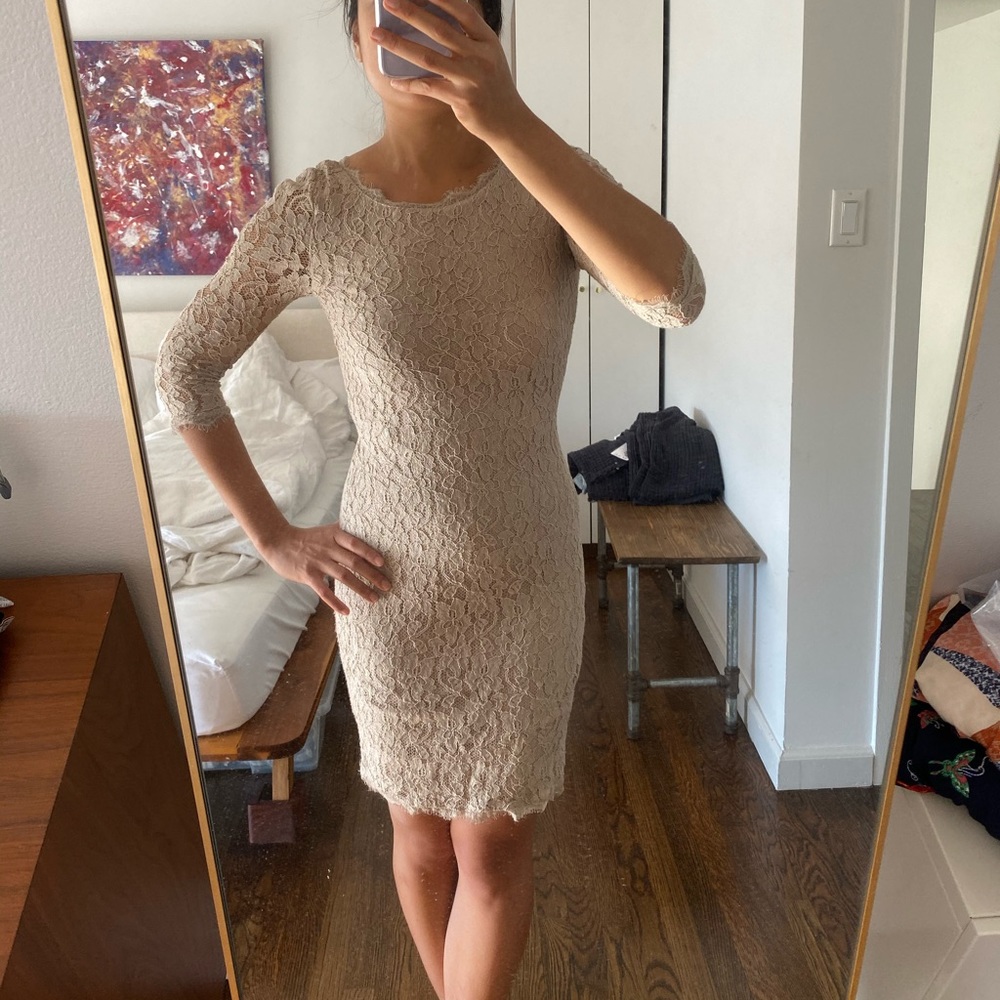 Aritzia Babaton Nude Lace Cocktail Dress Sz 0